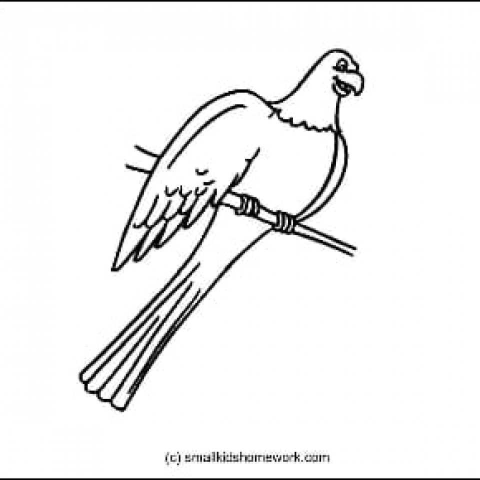 960x960 Outline And Coloring Pictures For Small Kids