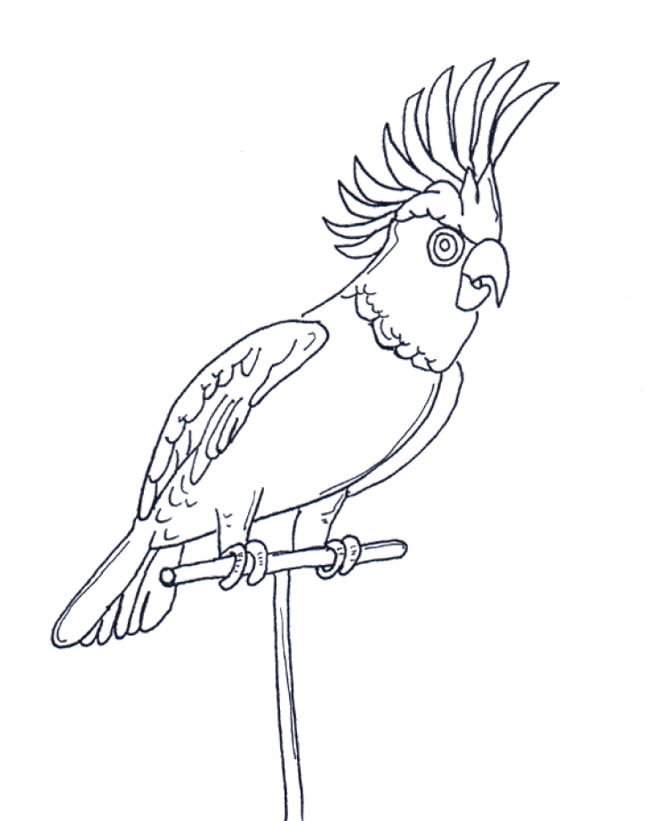751x917 Parrot Coloring Page Animal Coloring Page