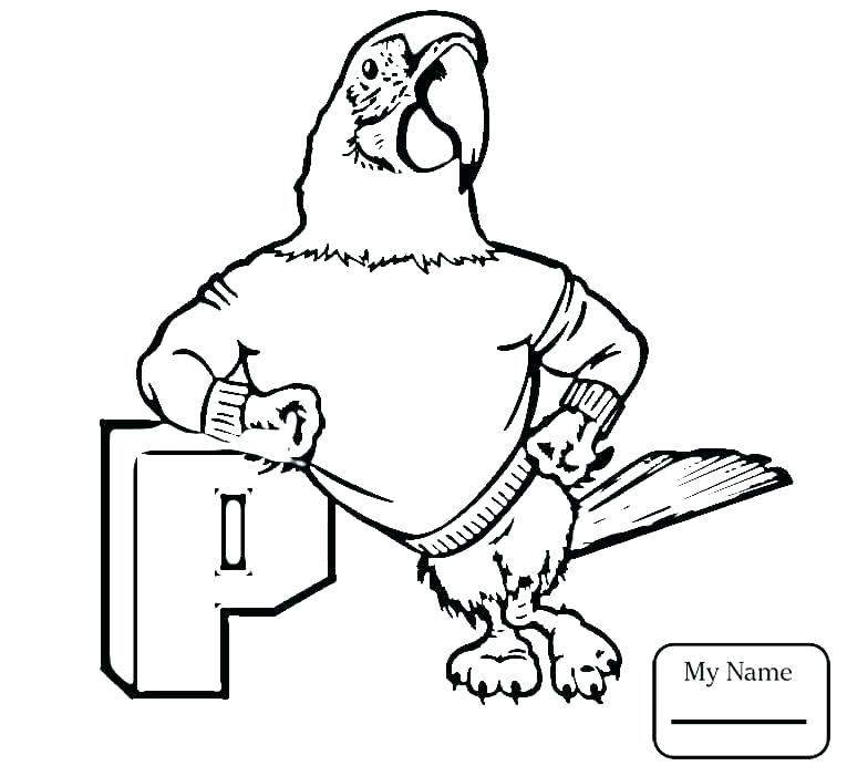 765x701 Free Printable Macaw Coloring Pages Pictures Of Birds Flying