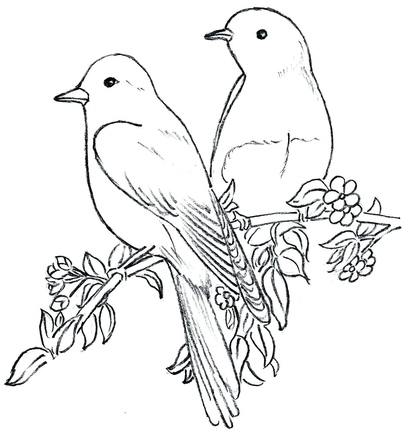 1400x1492 Parrot Outline Coloring Pages Page Free Parrots Unbelievable 6