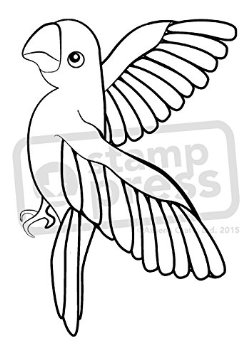 251x355 Cheap Parrot Flying, Find Parrot Flying Deals On Line