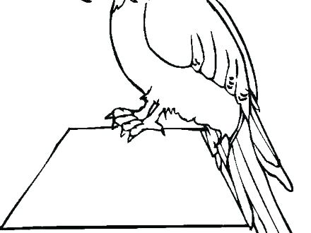 440x330 Coloring Pages Of Parrots Flying Parrot Coloring Pages Coloring