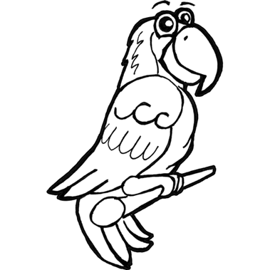 379x379 How To Draw Cartoon Parrots Amp Macaws With Step By Step Drawing