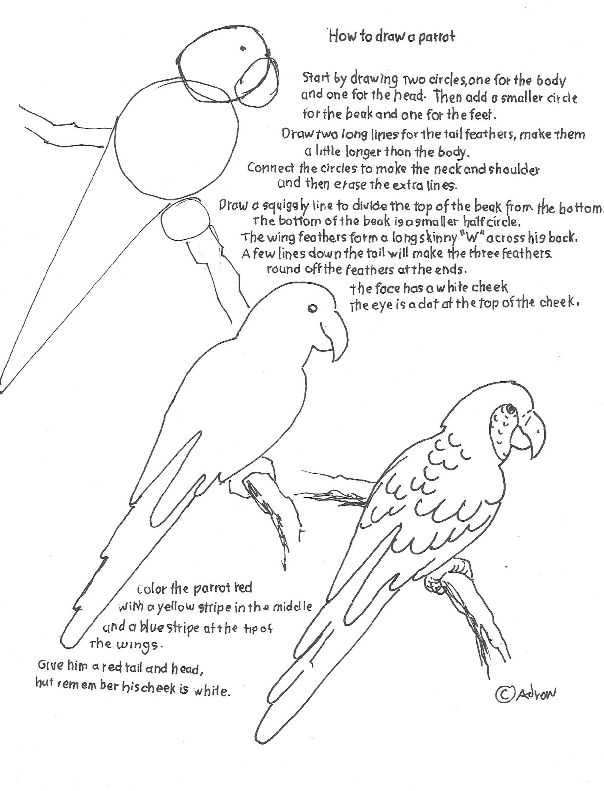 1221x1600 How To Draw Worksheets For The Young Artist How To Draw A Parrot