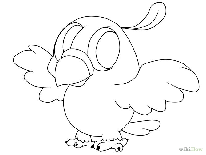 670x503 Steps To Draw A Parrot How To Draw A Bird Steps With Pictures