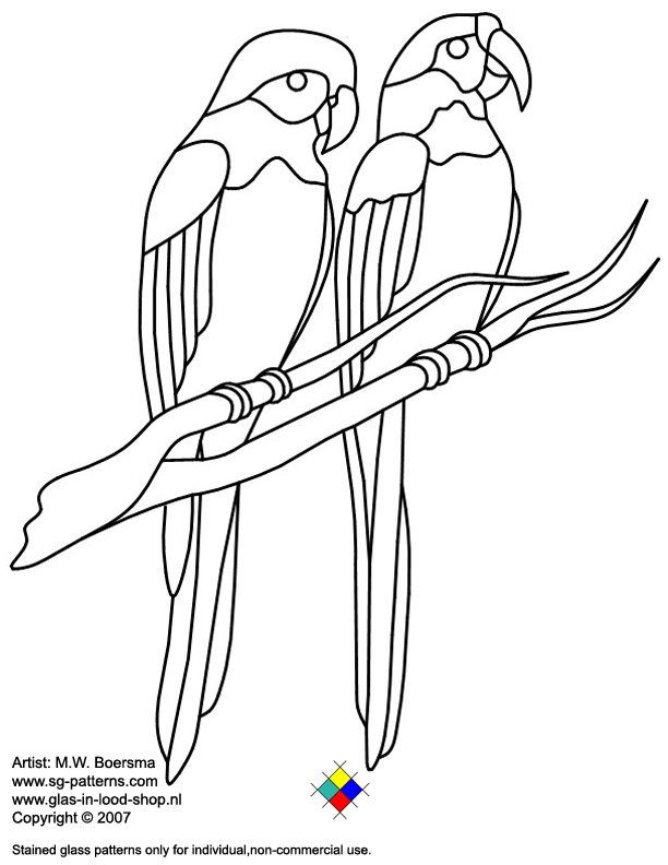 612x792 Stylist Design Pictures Of Parrots To Draw 2 310 Best Coloring