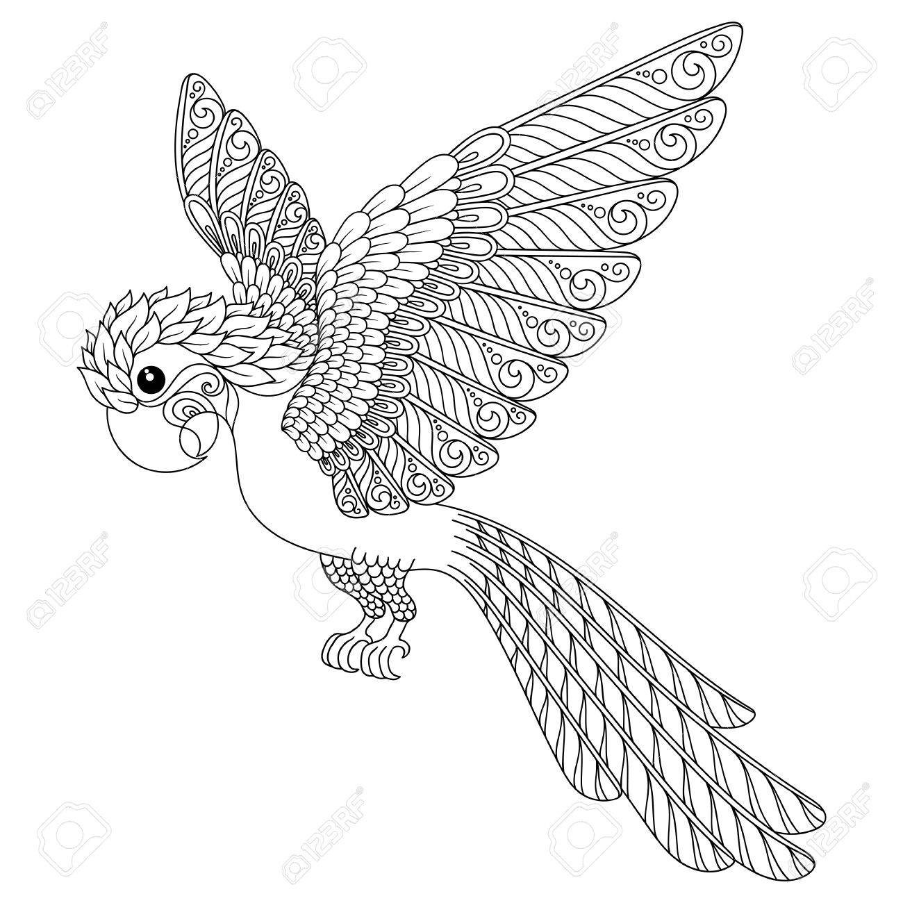 1300x1300 Hand Drawn Parrot. Isolated On Transparent Background. Anti Stress
