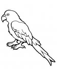 224x300 African Grey Parrot Clipart Line Drawing