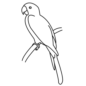 300x300 Learn How To Draw Animals Step By Step Page 139