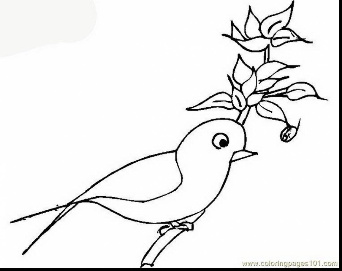1152x915 Fantastic Printable Parrot Coloring Page With Parrot Coloring