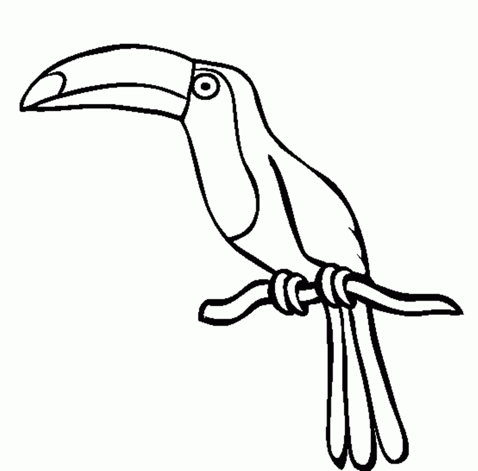 940x926 Monochrome Clipart Parrot