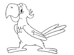 250x186 Parrot Drawing How To Draw An African Grey Parrot