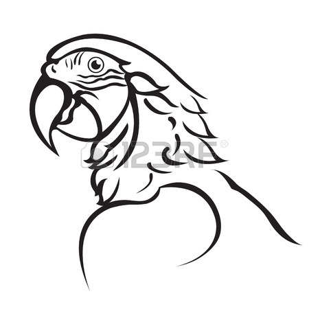 450x450 Black White Line Art Of Parrot Stock Photo, Picture