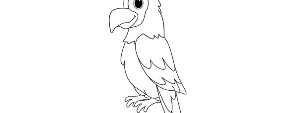 610x229 Parrot Template Large
