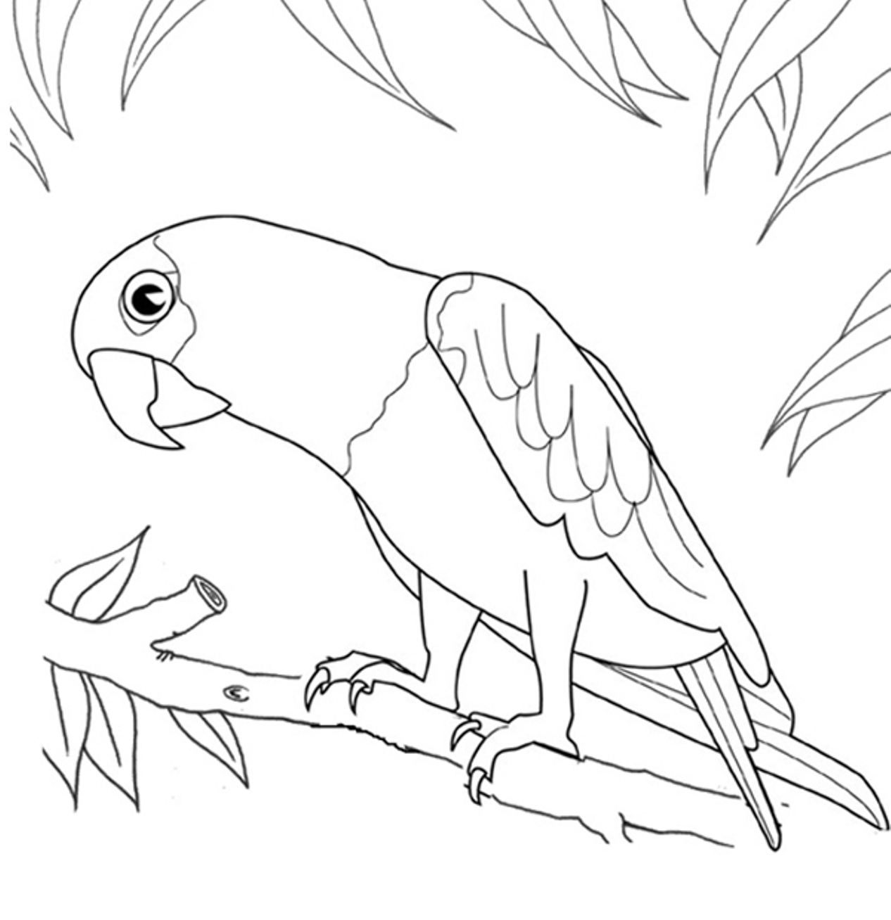 1266x1308 Printable Parrot Coloring Pages Coloring Me