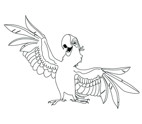 600x525 Macaw Coloring Page Murs