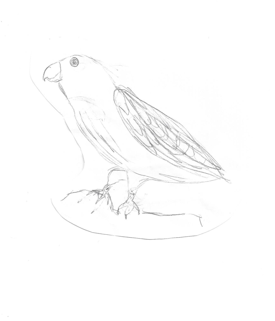 878x1024 Pencil Art Of Birds