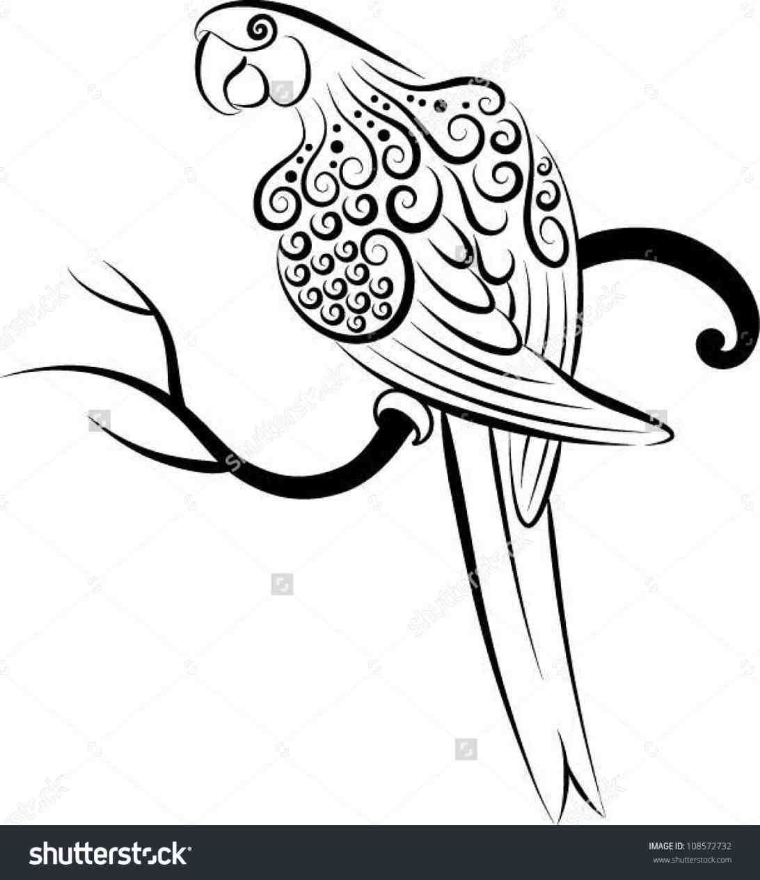 1092x1264 Pictures Of Parrots To Draw