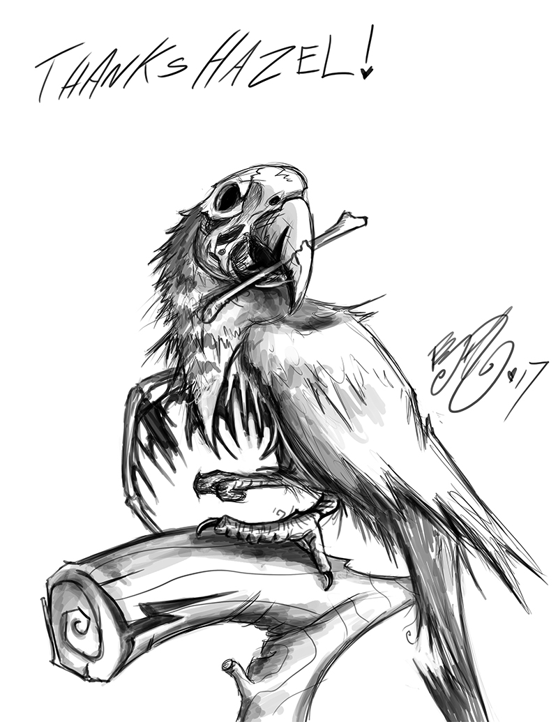 800x1035 Doodle Undead Parrot By Bunnybennett