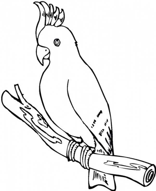 600x736 Download Online Coloring Pages For Free
