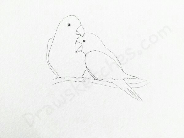 600x450 How To Draw Love Birds In A Few Easy Steps With Pictures