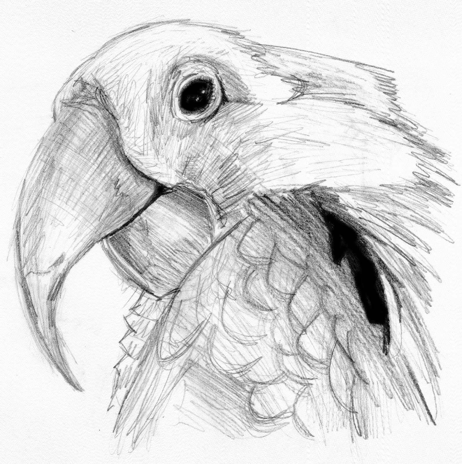 1593x1600 It Seemed Funny