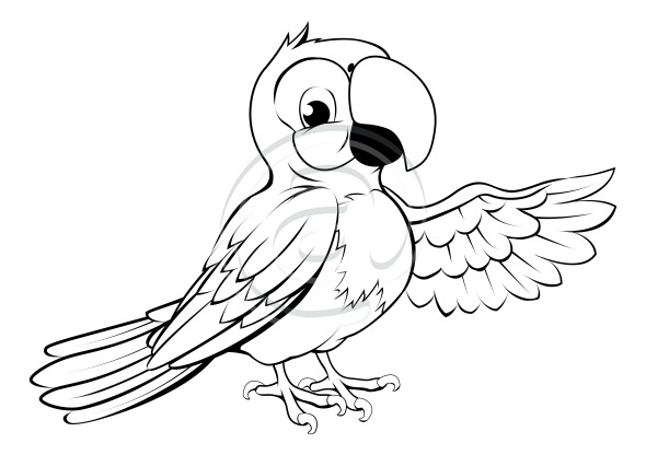 590x416 Parrot Black And White Clipart Panda