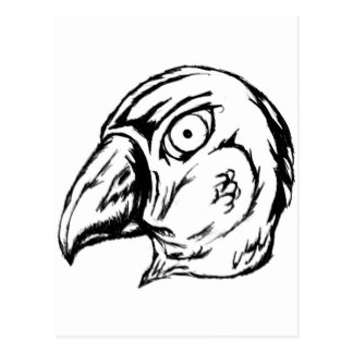 324x324 Parrot Sketch Postcards Zazzle