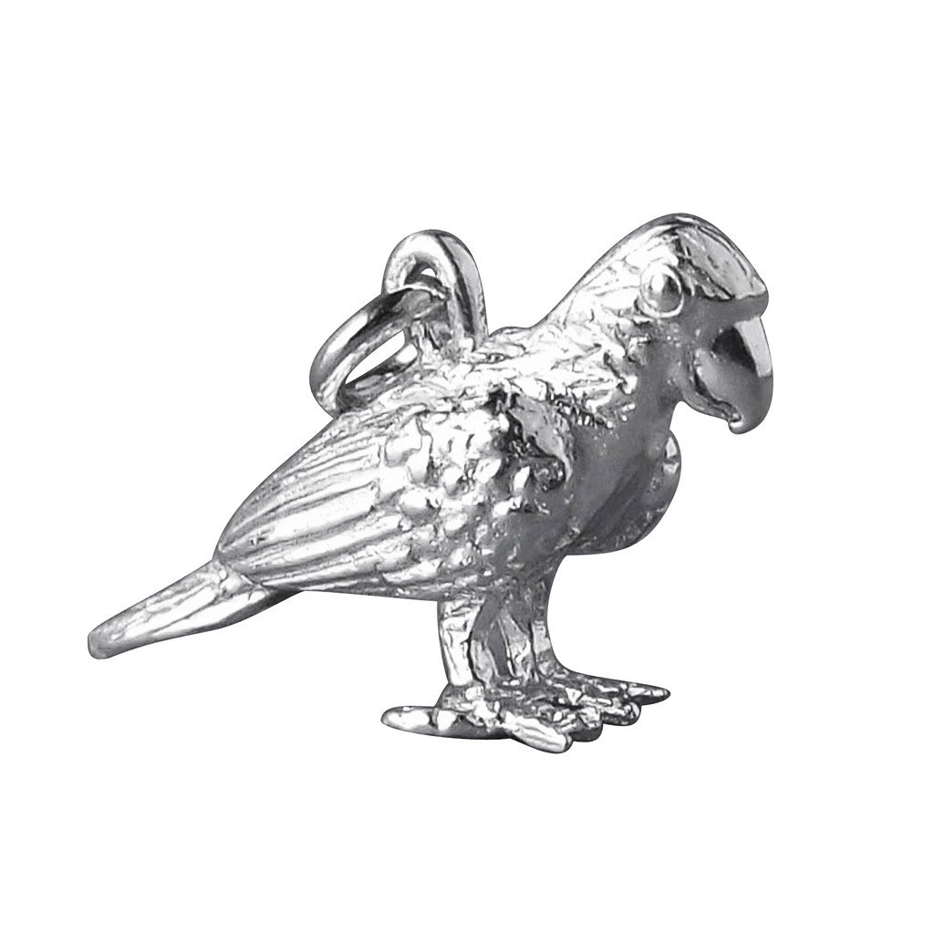 1024x1024 Amazon Parrot Bird Charm Sterling Silver Or Gold