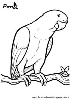 236x330 Printable Parrot Coloring Pages For Kids And Toddlers