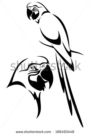 315x470 Tropical Parrot And Bird Head Black And White Vector Outline