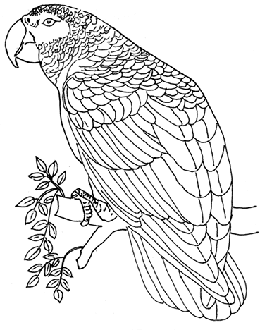 369x468 Animal Feature