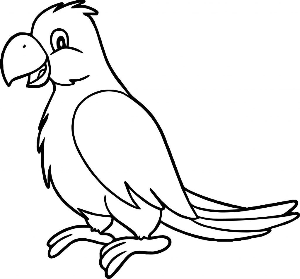 1024x954 Parrot Coloring Page Free Hard For Adults Printable Parrots Pages