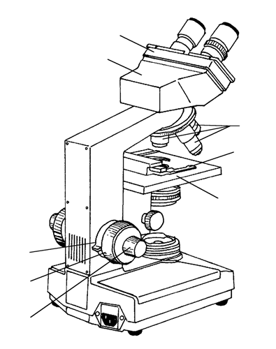 395x500 Biology 130 Lab 1