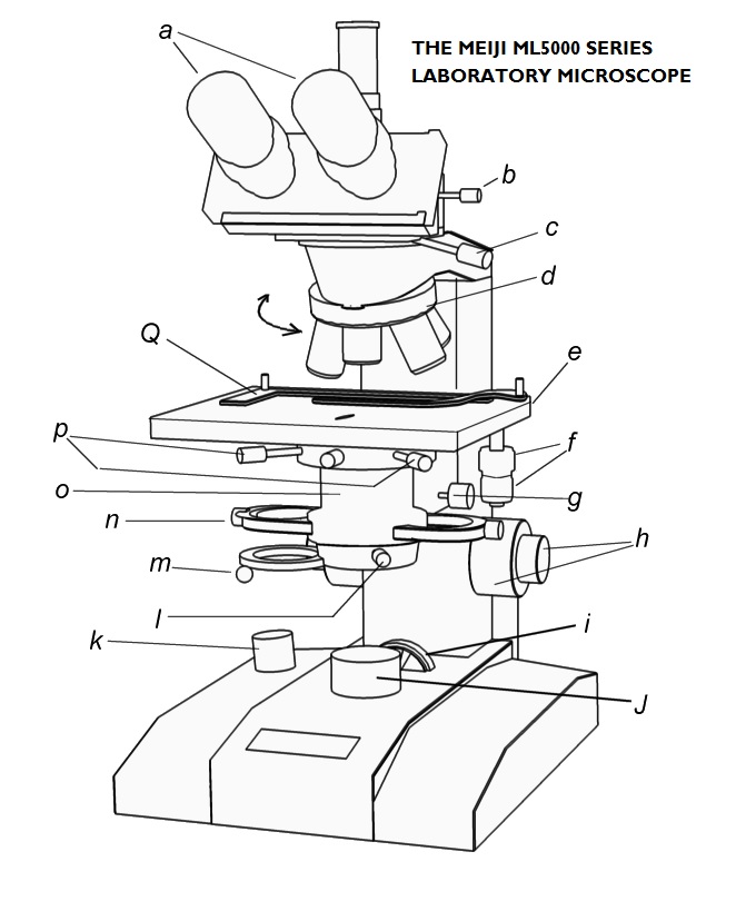 680x828 Microscope A Year In The Life