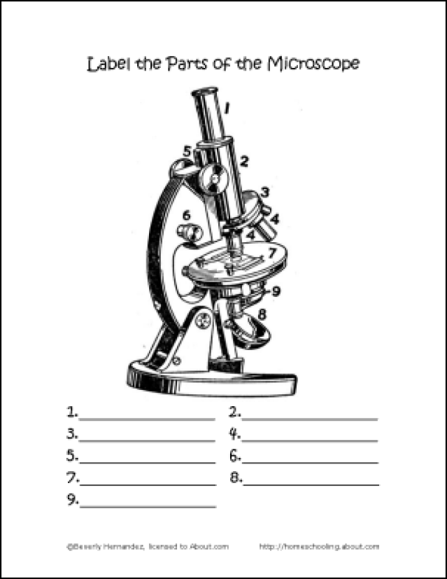 639x827 Science Worksheets And Coloring Pages You Can Print