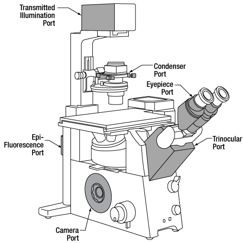 500x500 Adapters For Olympus Bx And Ix Microscopes