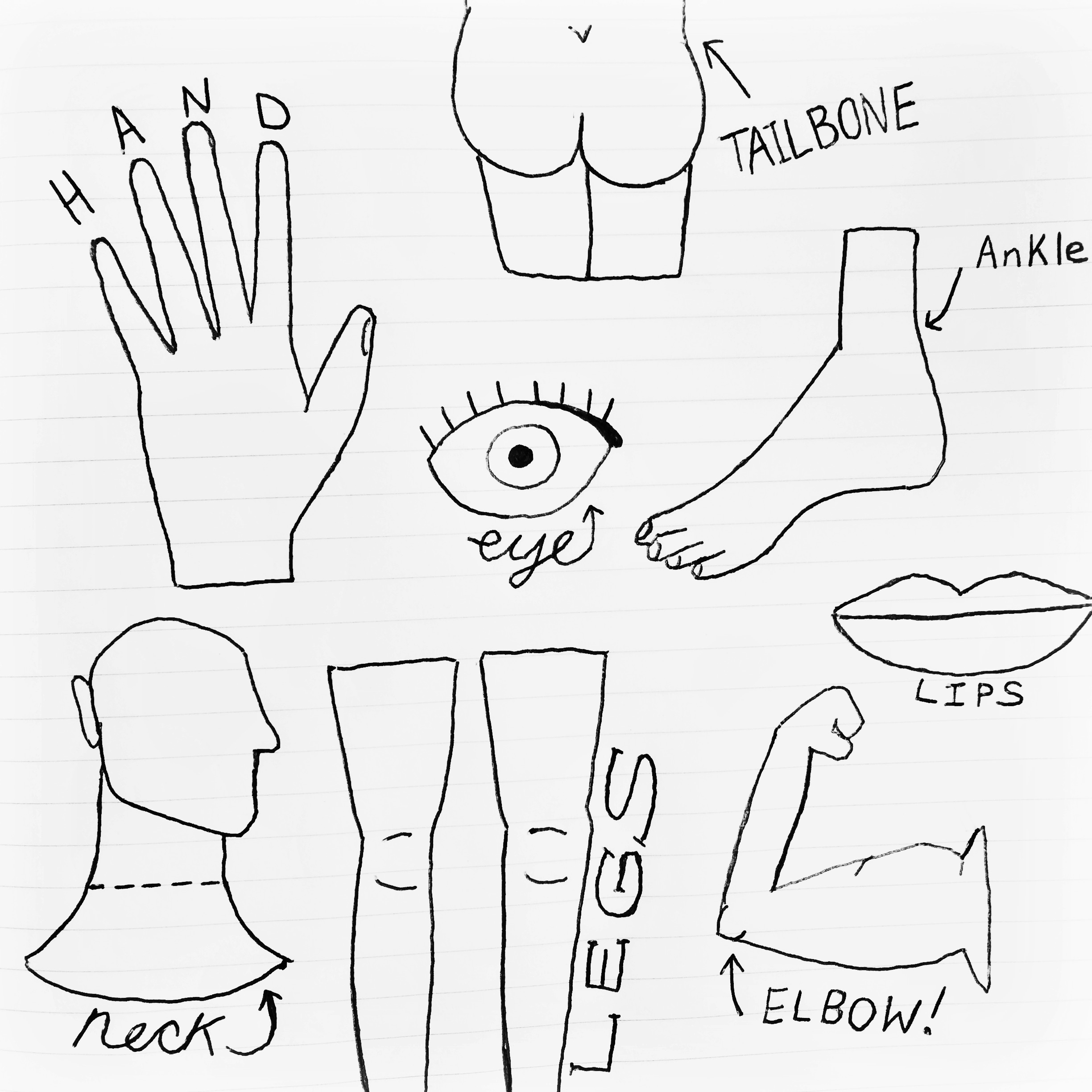 How To Draw Parts Of The Body of all time Check it out now | howtodrawline2