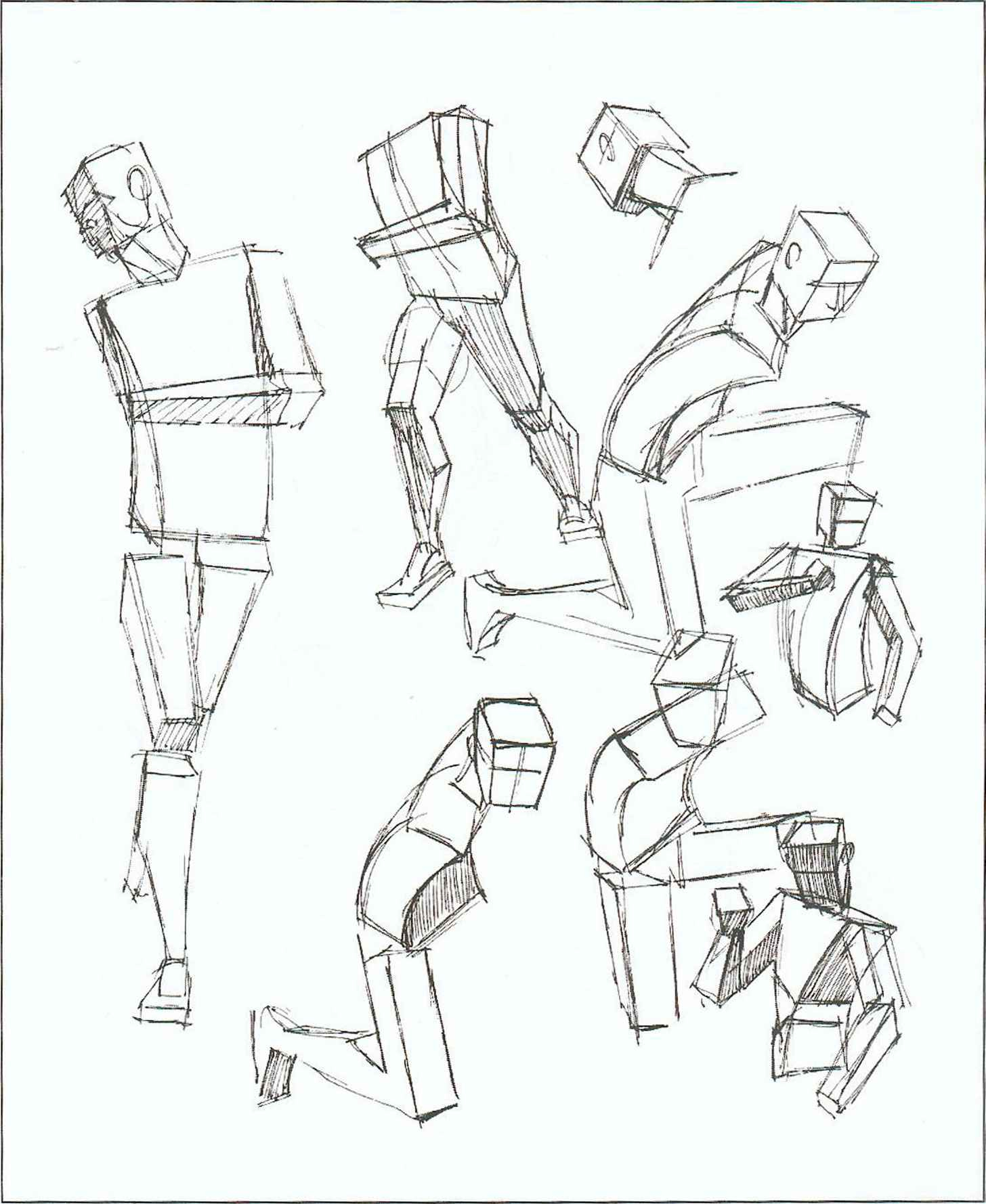Parts Of The Body Drawing at GetDrawings | Free download