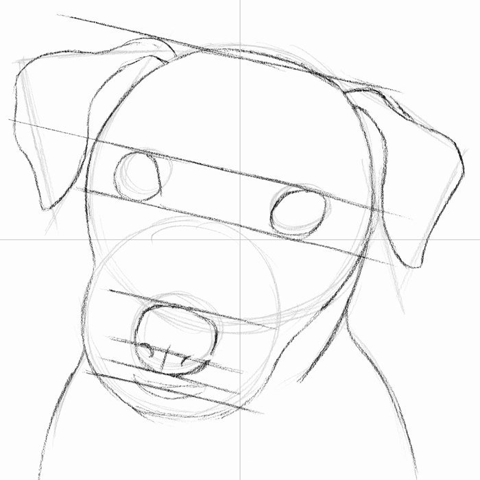 700x700 6.3.a2 Isaac The Jack Russell