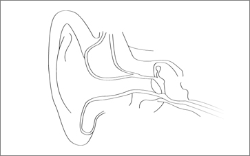 363x227 Outer Middle Inner.gif