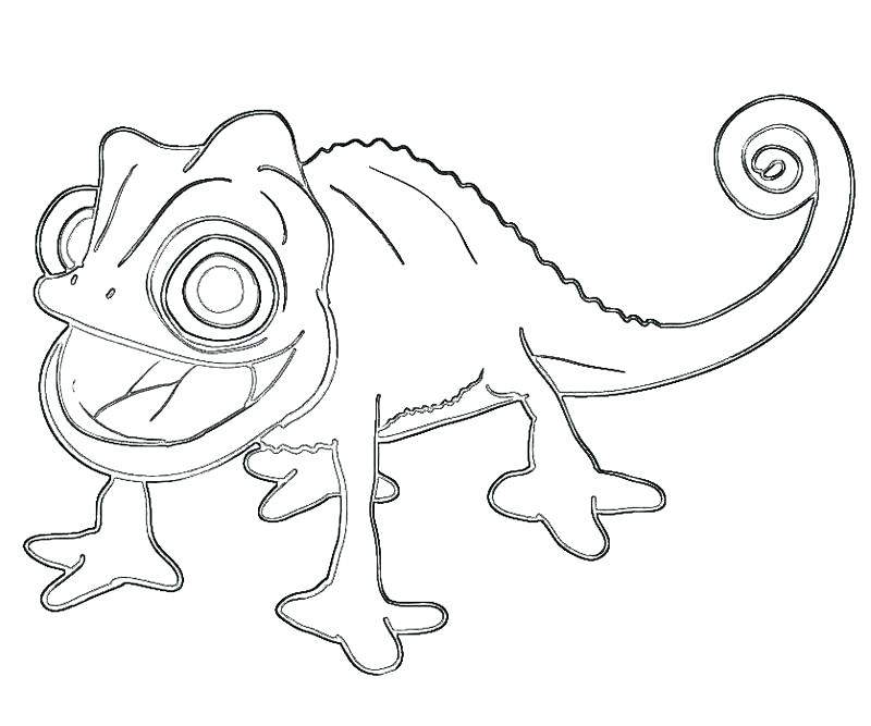 800x667 Pascal Tangled Coloring Pages And Pascal Coloring Pages Disney