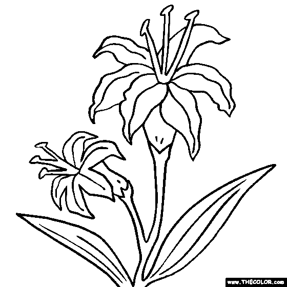 560x560 Passion Coloring Pages