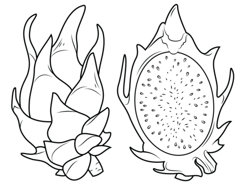 480x370 Dragon Fruit And Its Cross Section Coloring Page Free Printable