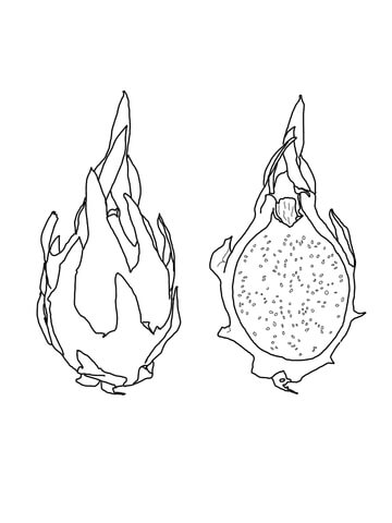 360x480 Dragon Fruit Coloring Page Free Printable Coloring Pages