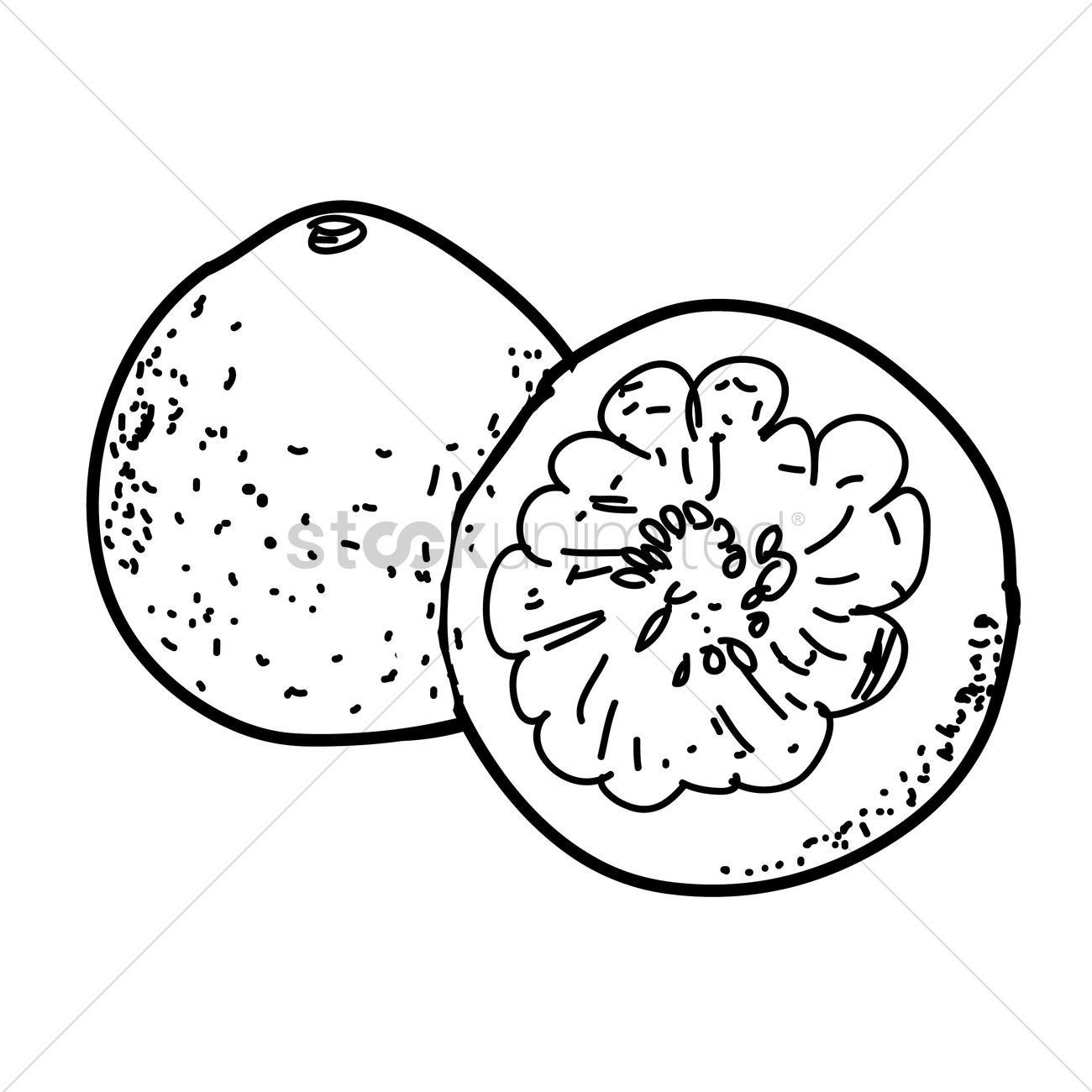 1300x1300 Passion Fruit Vector Image