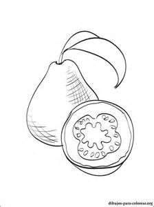 224x300 Passion Fruit Coloring Page Food Embroidery