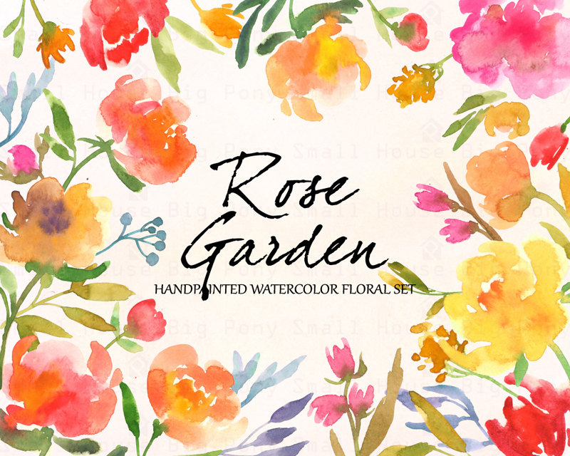 800x640 Flowers ,hand Painted Watercolor Clipart Clip Art Pastel Roses