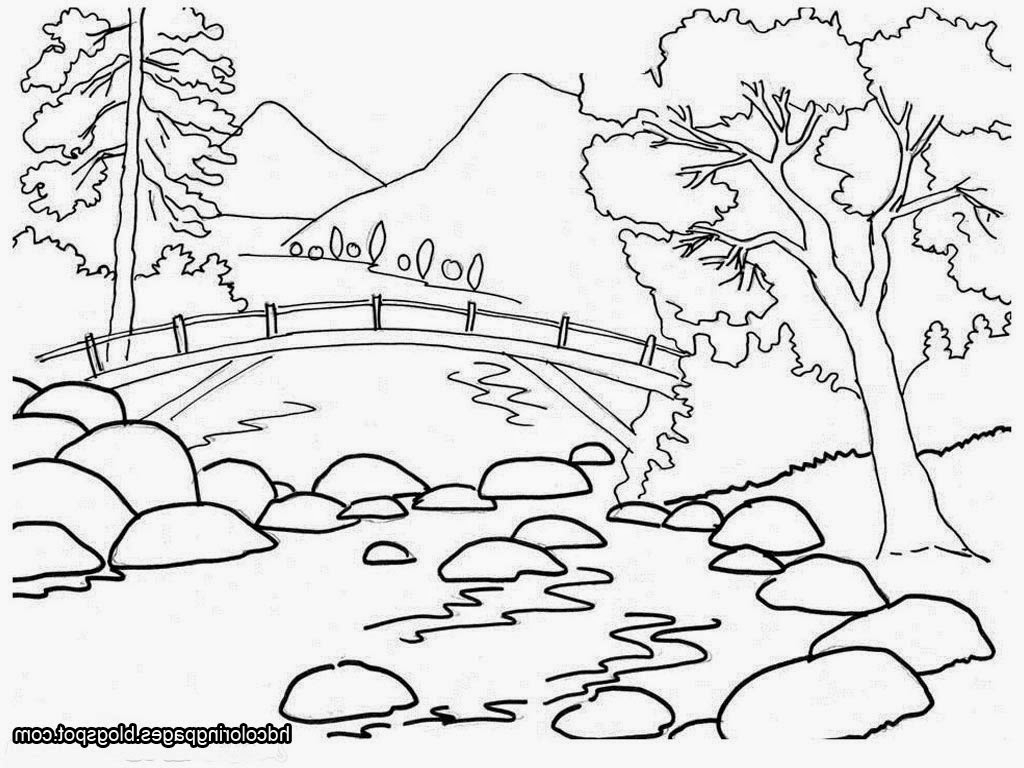 1024x768 Nature Drawing For Children Nature Pictures For Drawing