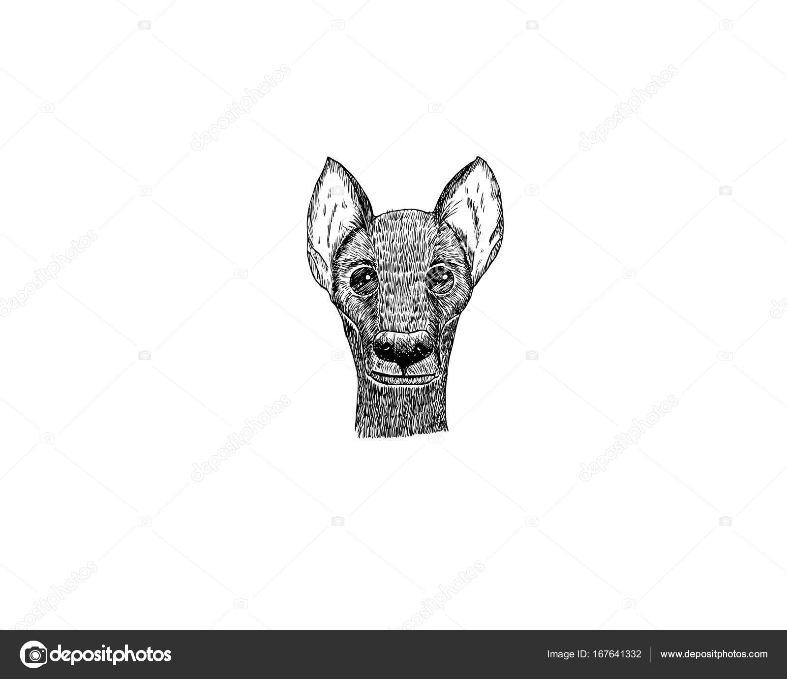 1600x1380 Drawing Illustration Of Dog Cartoon Pencil And Charcoal On Paper